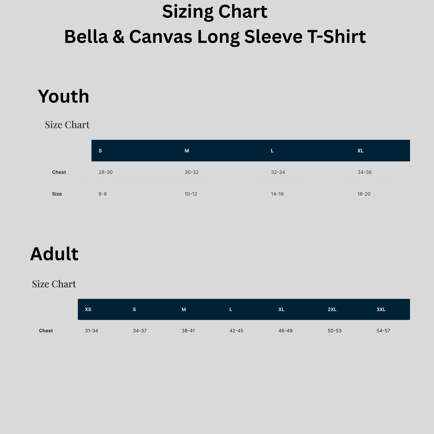 Bella & Canvas Long Sleeve T-shirt