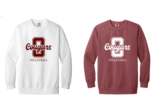 Crewneck Sweatshirt:White & Crimson
