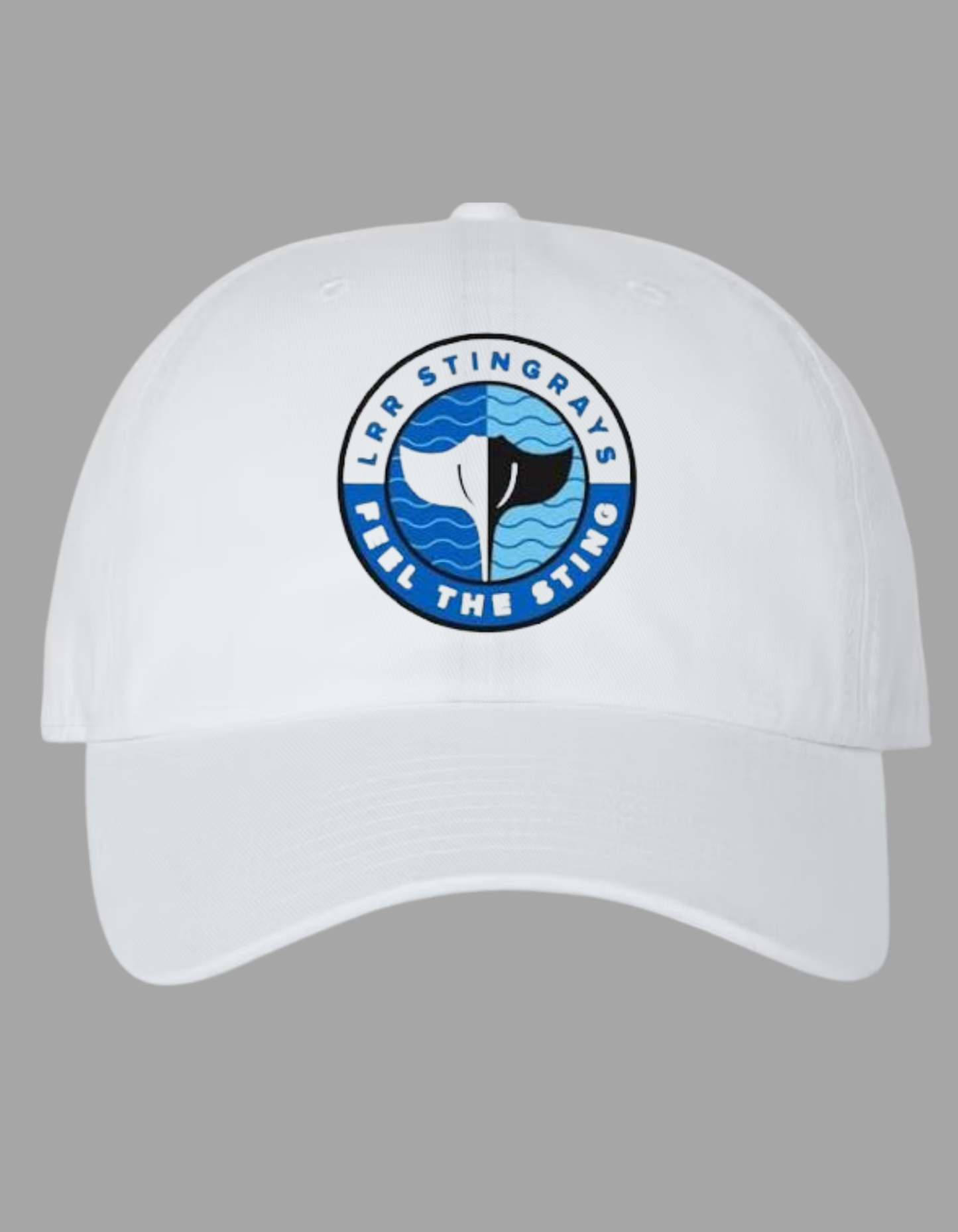 Embroidered Baseball Hat: Light Blue or White